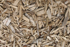 biomass boilers Rhos Haminiog